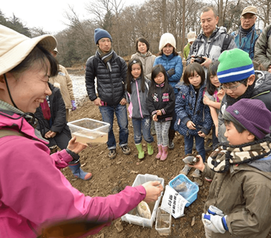 池にはどんな生物がいるの？