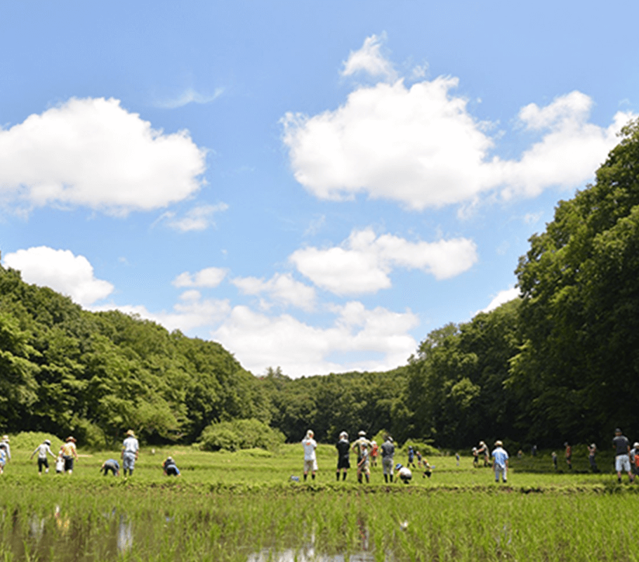 公園緑地の指定管理者として、自然と生物多様性を守る。