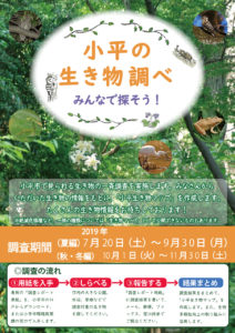 小平市生き物調べ