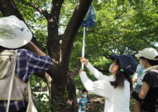 小平生きもの調査隊